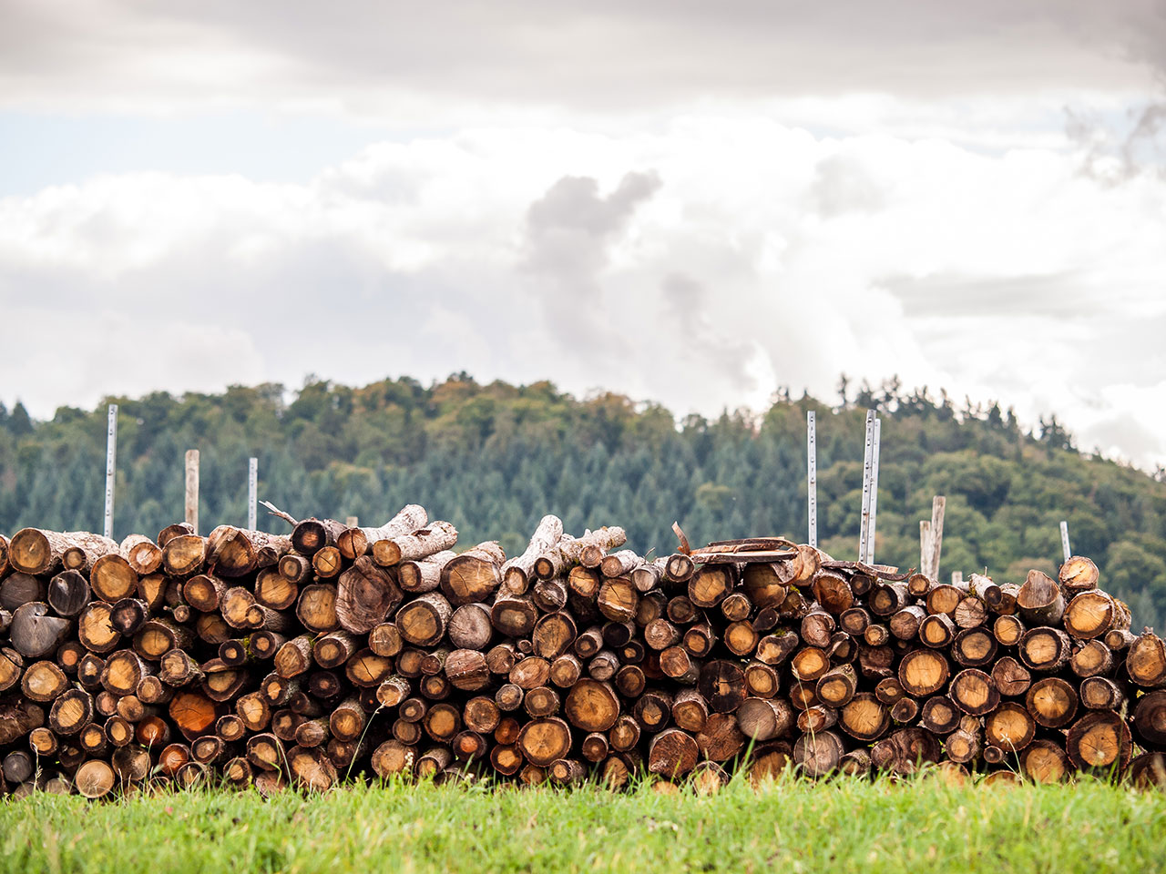 Brennholz vor Ort in Allmendingen, Altheim, Öpfingen, Niederhofen und Ochsenhausen
